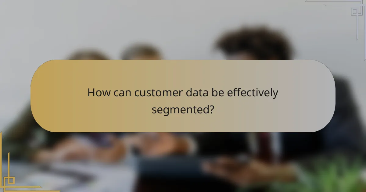 How can customer data be effectively segmented?