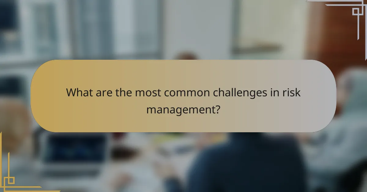What are the most common challenges in risk management?